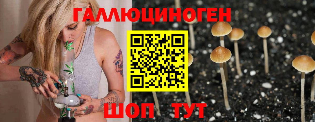 Псилоцибиновые грибы Cubensis Похвистнево